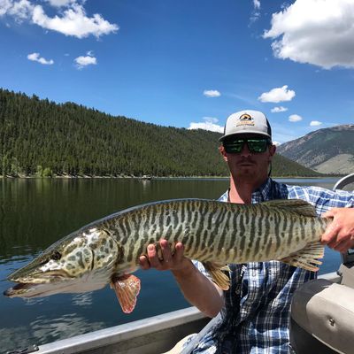 Fishing Guides In Colorado | 3 To 7 Hour Charter Trip 