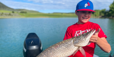 Harvey Gap Reservoir Fishing Charter (Discounted $100)