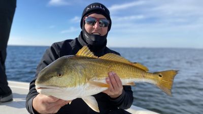 Fishing Charters in Pensacola