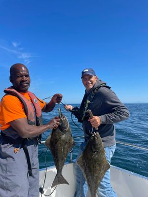 Halibut Fishing (Shared Trip)