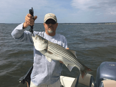 Lake Texoma Striper Fishing