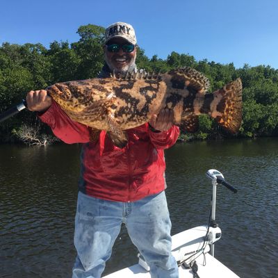 Everglades, National Park, Fishing Charters