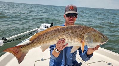 Charleston SC Charter Fishing | 4 Hour Charter Trip 