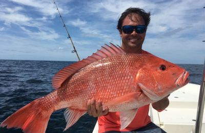 Private 4-Hour Jacksonville Fishing Charter (PM)