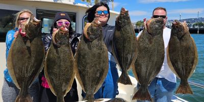 Whole Day SF Bay Fishing Adventure (Shared)