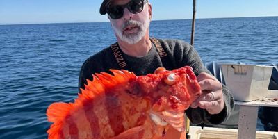 8 HR Bodega Bay Private Fishing Charter