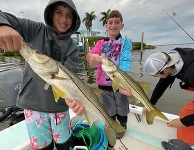 Anna Maria Island Fishing Charters | 4 Hour Afternoon Nearshore Fishing 