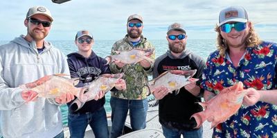 4 Hour Morning Nearshore Fishing Charter in Anna Maria Island 