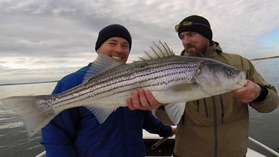 Fishing Charters in Massachusetts