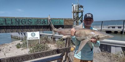 Corpus Christi Fishing Guides | Private Shark Fishing Trip