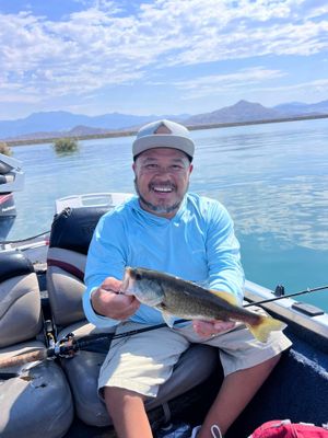 California Charter Fishing | 6 HR Private Bass Fishing Trip