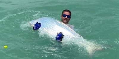 Tarpon Fishing Boca Grande