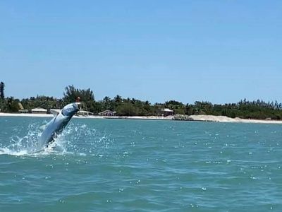 Fishing Charters In Cape Coral Florida