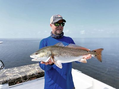 Half day trip - Crystal River, FL