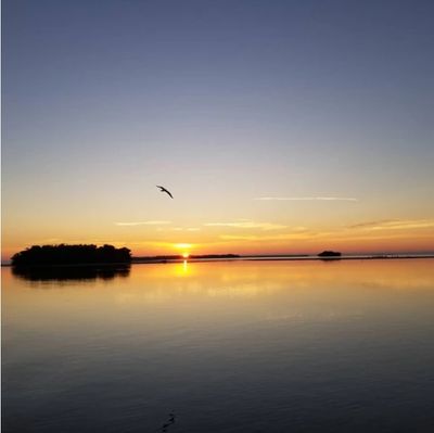 Sunset Cruise - Islamorada FL