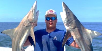 Galveston Fishing Charters | Private 8-Hour Full Day Shark Charter Trip