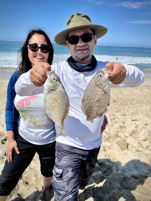 Surf Perch Fishing