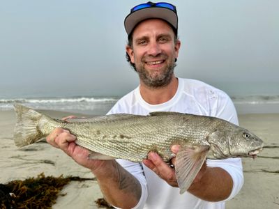 Surf Fishing for mixed species | 4 Hour AM Private Trip