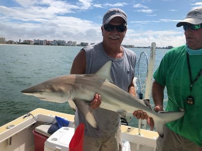 St Petersburg Fishing Charters | Half Day Afternoon Shark Fishing 