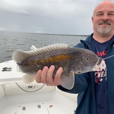 Virgin Beach, VA 6-Hour Midshore Fishing