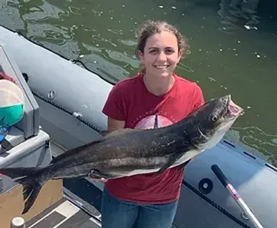 Virginia Beach, VA Cobia Fishing Trip