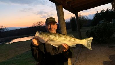 Lake Texoma Fishing Charters | 4 To 6 Hour Trip 