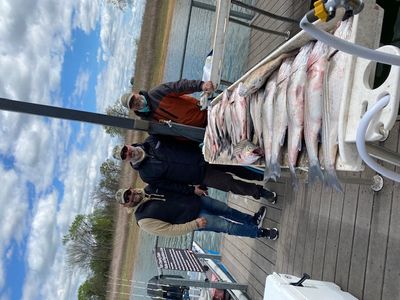 Summer Evening Striper Fishing  Trip 