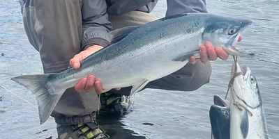 Shared 4 Hour Ice Fishing Trip In Alaska 