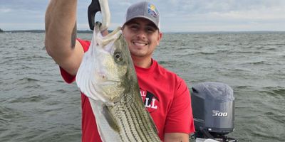 Guided Fishing On Lake Texoma | 5 Hour Charter Trip