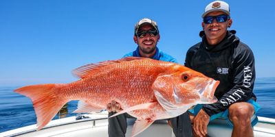 12 Hour Offshore Fishing Trip in Corpus Christi, TX