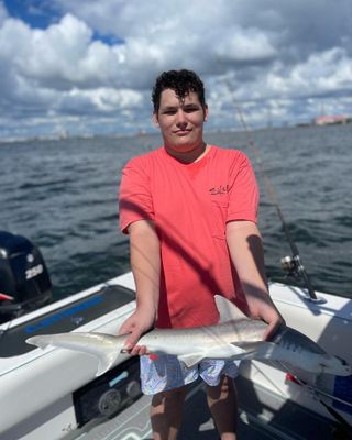 Charleston, SC 3 Hour Shark Fishing (Inshore Trip)