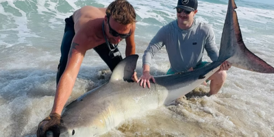 Florida Nighttime Shore Shark Trip - Anna Maria