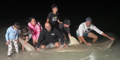 Shark Fishing at Night - St Pete Beach