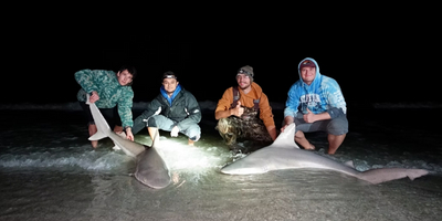 Florida Night Shark Fishing - St Pete Beach