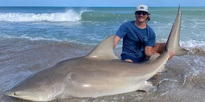 8 Hour Florida Shark Fishing - Anna Maria