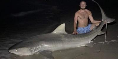 Evening Florida Shark Fishing - Indian Shores