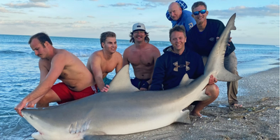 24 Hour Land-Based Shark Fishing Florida - Nokomis