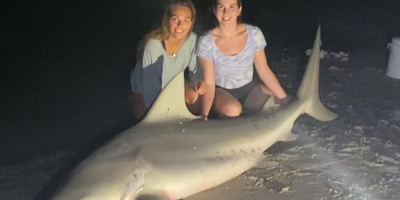 Night Shark Fishing Florida - Indian Shores