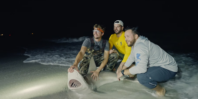 12 Hour Florida Night Shark Fishing - Anna Maria