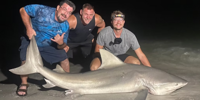 Full-Day Land-Based Shark Fishing - Indian Shores