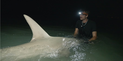 6 Hour Florida Shore Shark Fishing - Nokomis