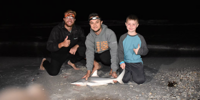 8 Hour Florida Night Shark Fishing - Nokomis