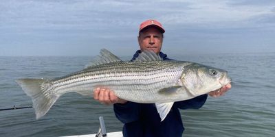 Spring Striped Bass Fishing – 6 Hour AM Trip