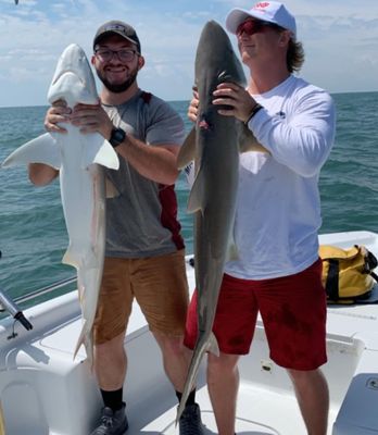 Half Day Trip – Jetties - Fernandina Beach, FL