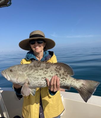 5 Hour Nearshore Trip | Fishing Charters St Petersburg FL