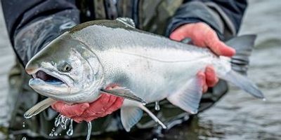 8 HR Takhini River Fishing