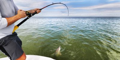 Fishing Charter Charleston SC | Seasonal 2 Hour Shark Fishing Trip