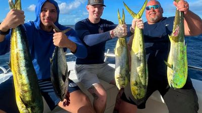 Offshore Fishing Full day - Tavernier, FL