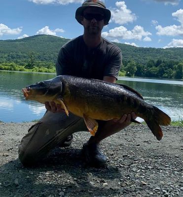 Sight Fishing Carp Trip in Vermont