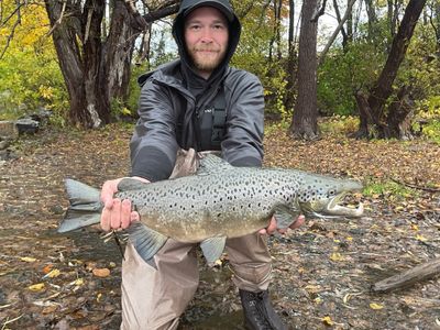 Salmon/Laker Fishing Trip